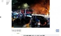 年鹏事件最新爆料,最新爆料揭露惊人内幕